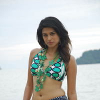 Shraddha Das - Shraddha Das in bikini hot pictures | Picture 63731